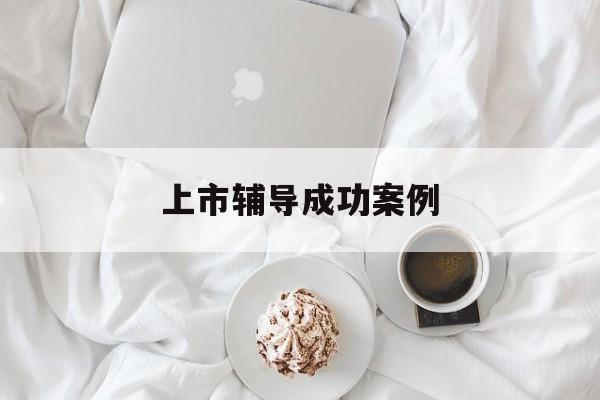 上市辅导成功案例(上市辅导成功后肯定会上市吗)北京市